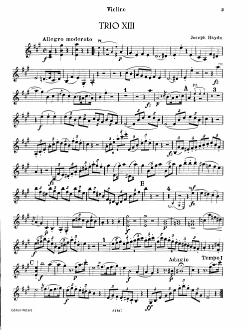 Violin