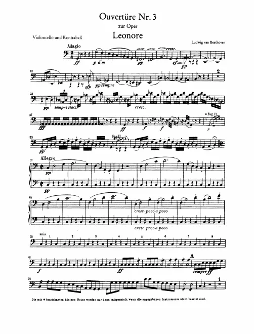 Cellos/Basses