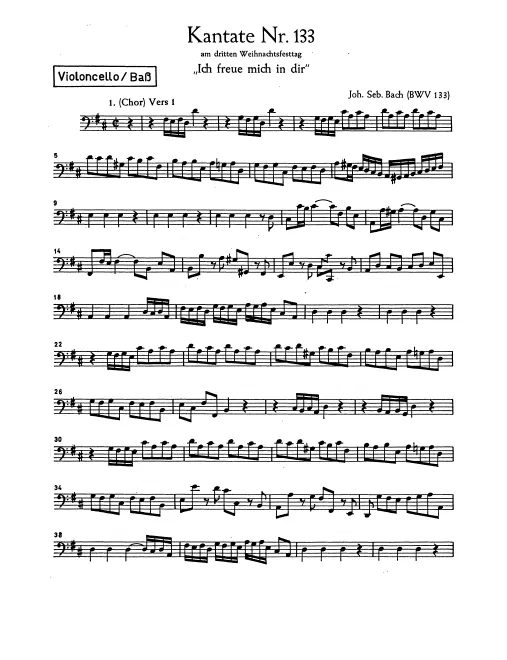 Cellos/Basses