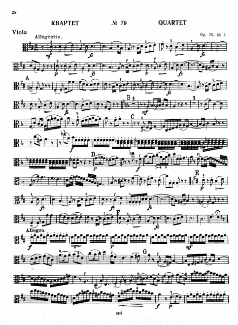 Viola