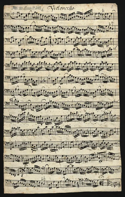 Cello