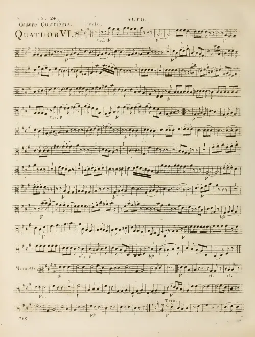 Viola