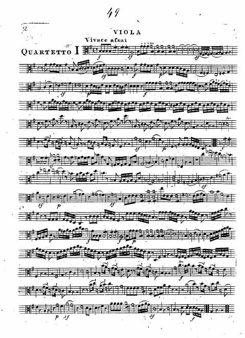 Viola