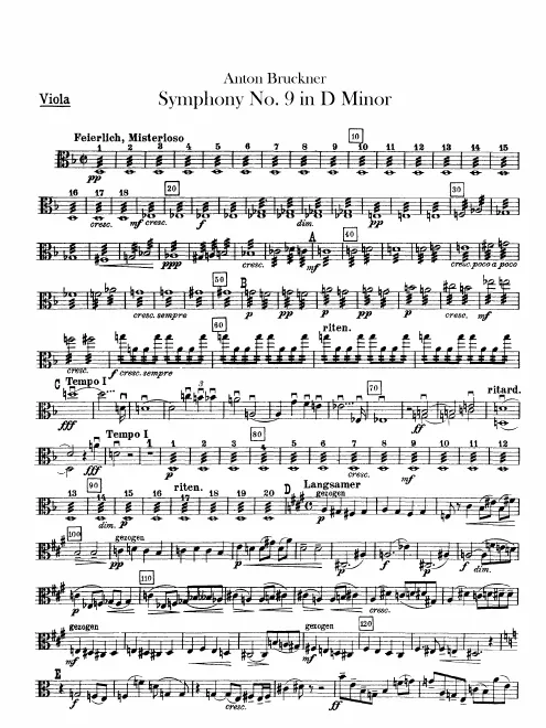Violas
