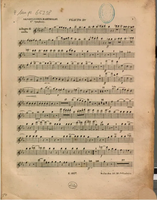 Flute 2