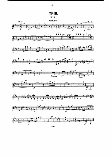 Violin