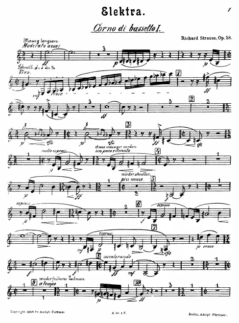Basset Horn 1