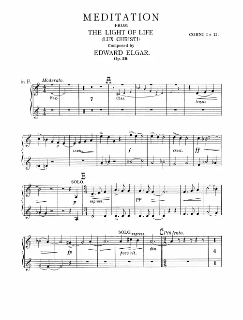 Horn 1/2 (F), 3/4 (B)