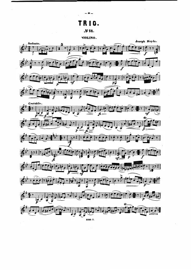 Violin