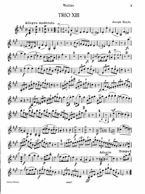 Violin