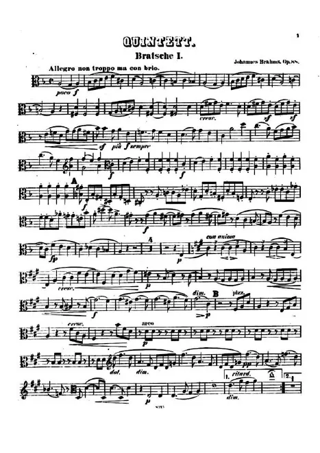 Viola 1