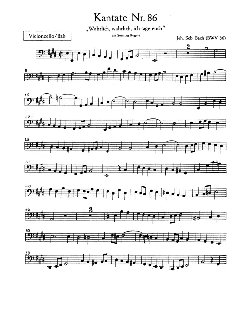 Cellos/Basses