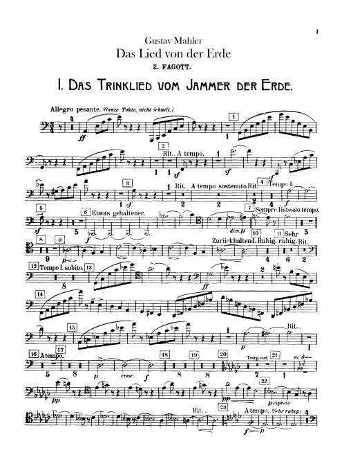 Bassoon 2
