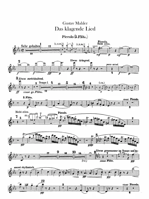 Flute 3/Piccolo
