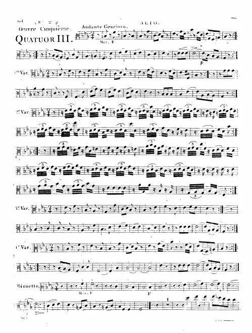 Viola