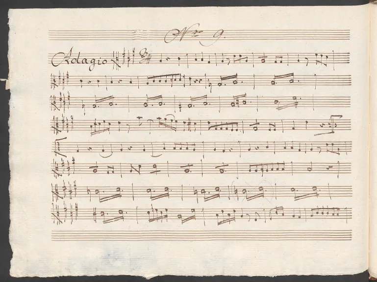 Viola