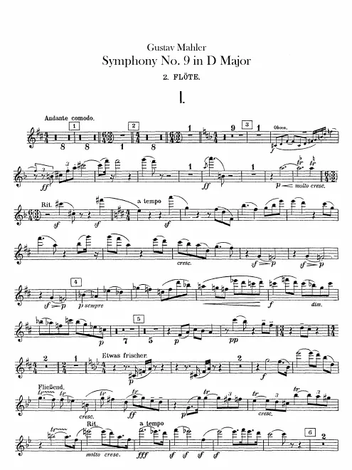 Flute 2