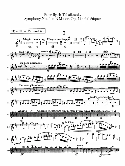 Flute 3/Piccolo
