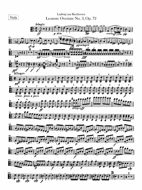 Violas