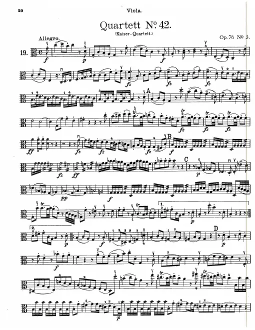 Viola