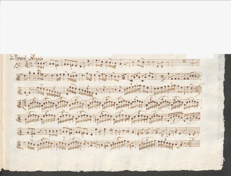 Viola