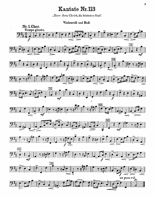 Cellos/Basses