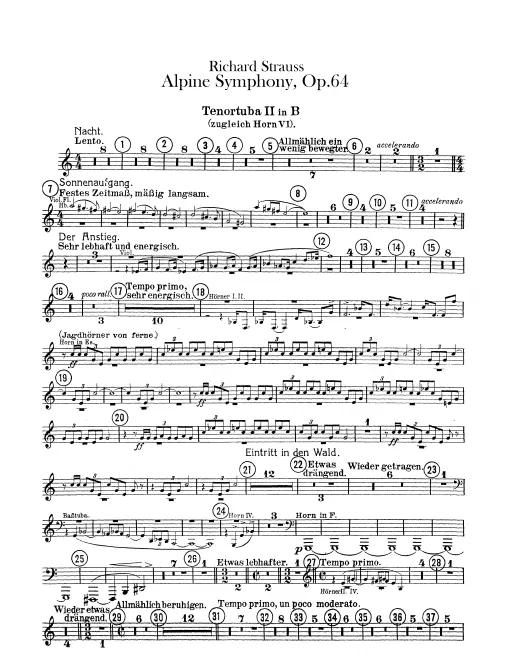 Horn 6 (B/C/E/E/F)/Wagner Tuba 2 (B)