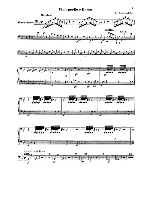 Cellos/Basses