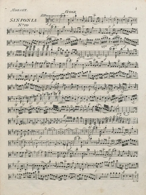 Violas