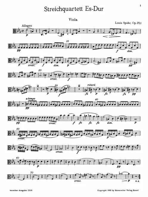Viola