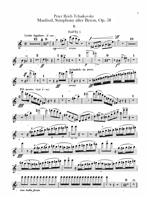 Flute 1