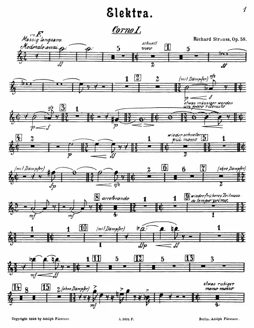 Horn 1