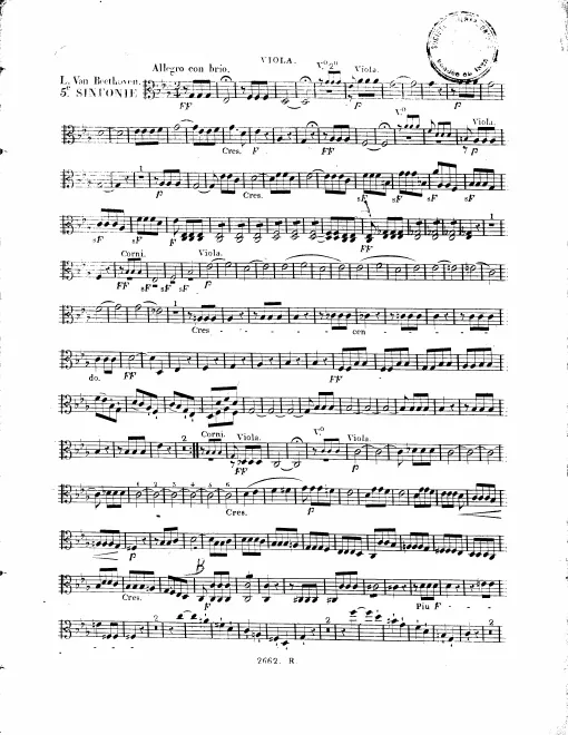 Violas