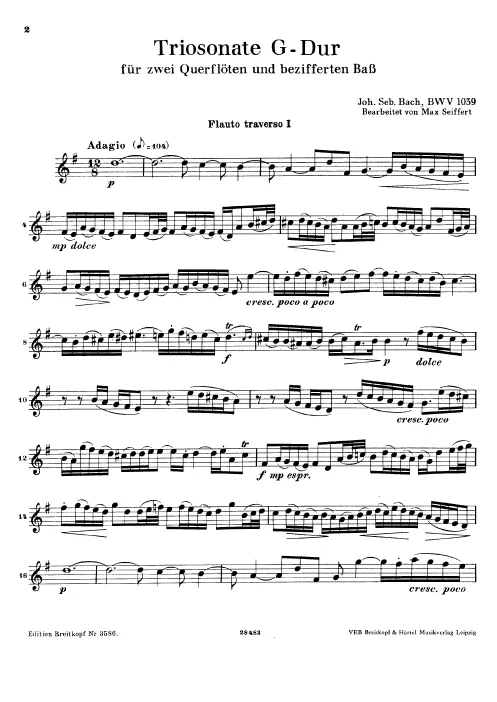 Flute 1