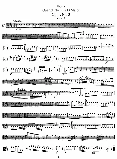 Viola