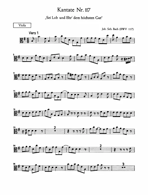 Violas