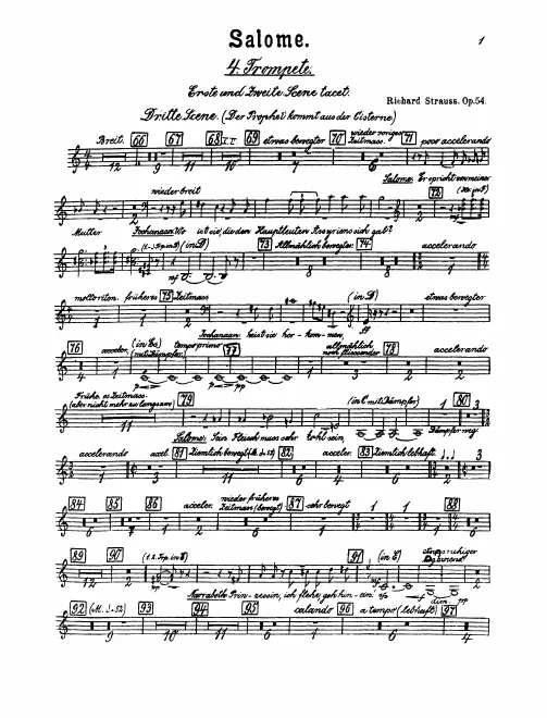 Trumpet 4