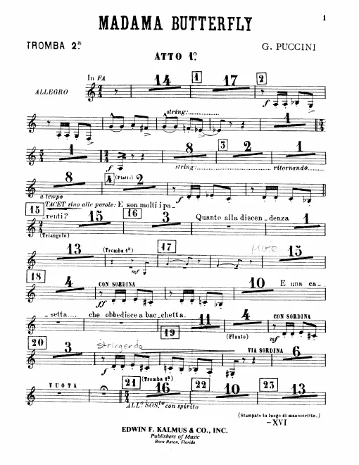 Trumpet 2
