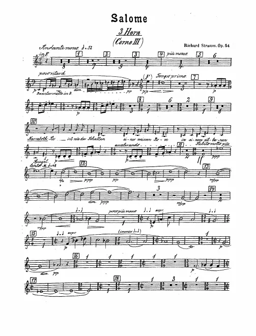 Horn 3