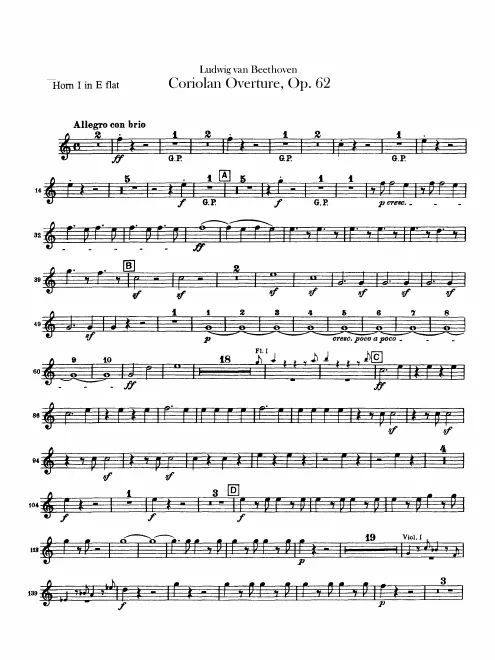 Horn (E, plus transposed F) 1/2