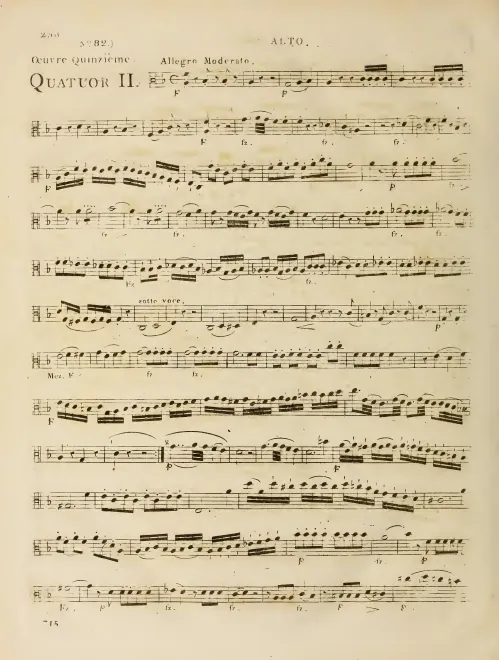 Viola