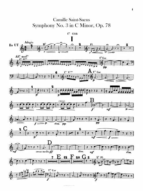 Horn 1 (C/E), 2 (C/E)