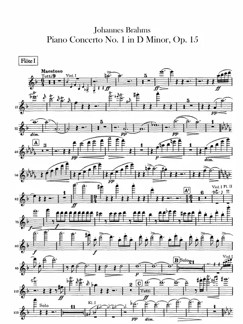 Flute 1