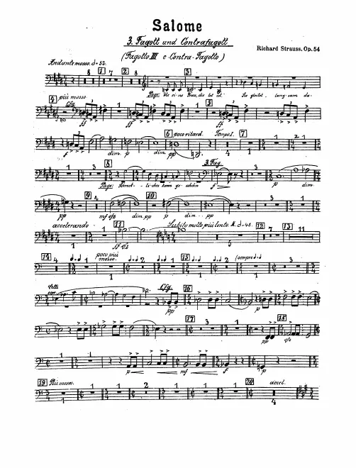 Bassoon 3/Contrabassoon