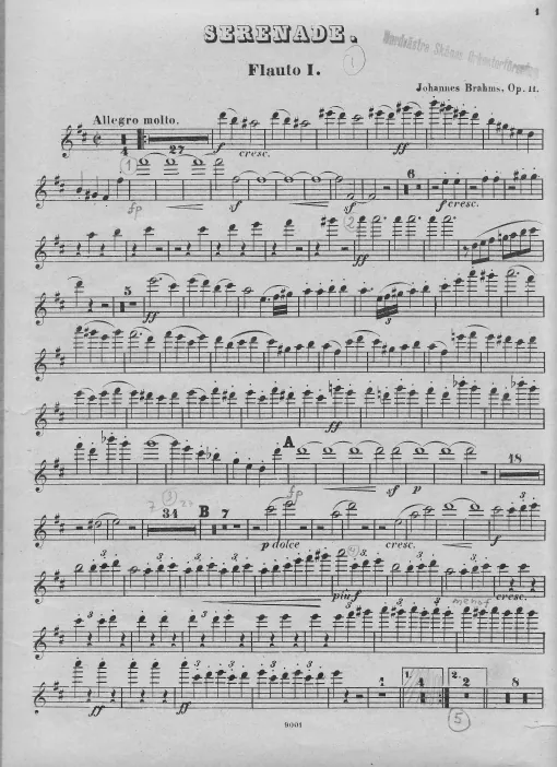 Flute 1