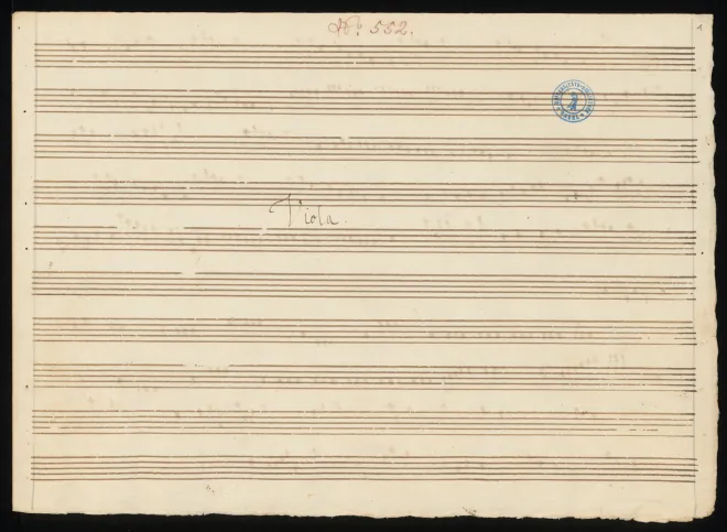 Viola
