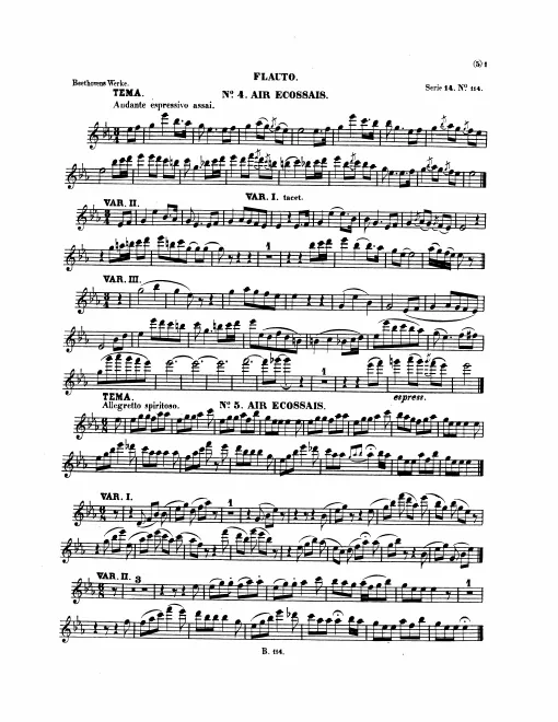 Flute