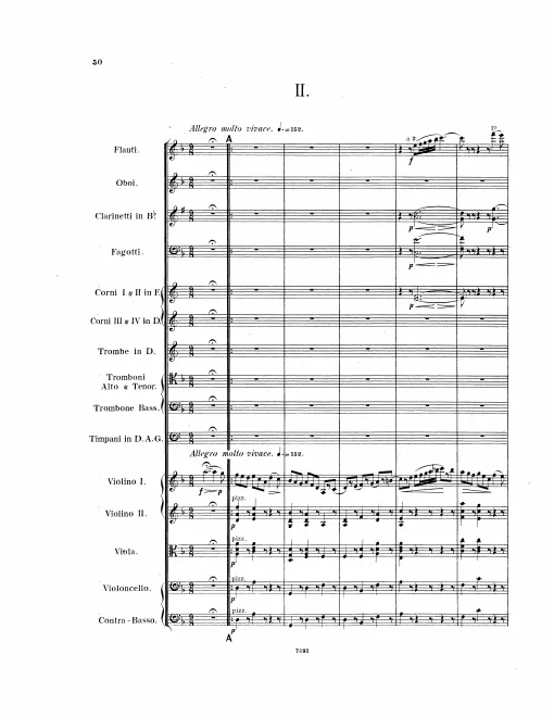 II. Allegro molto vivace
