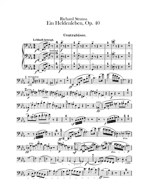 Basses