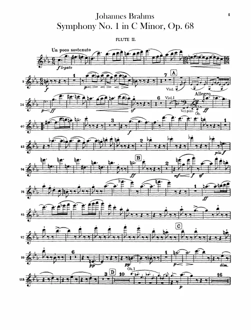 Flute 2